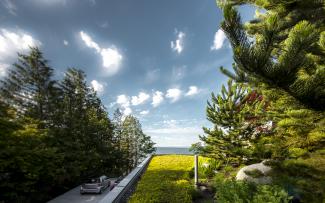 Extensive green roof